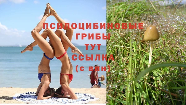 мескалин Богданович