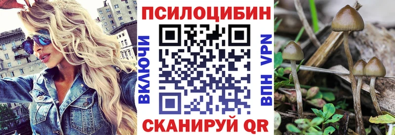 Псилоцибиновые грибы Psilocybine cubensis  купить закладку  Ессентукская 